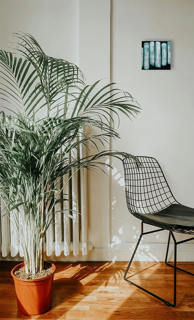 毛細管の背比べ